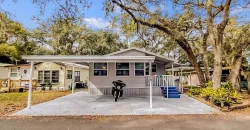 10918 Captain Hook Cir, Thonotosassa, FL 33592